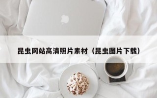 桦甸昆虫网站高清照片素材（昆虫图片下载）